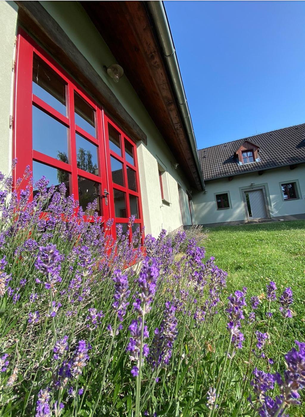 Apartmany Penzion Katerina Nadejkov Eksteriør billede